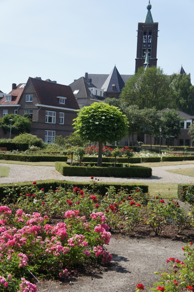 2020 08 27 Rosarium