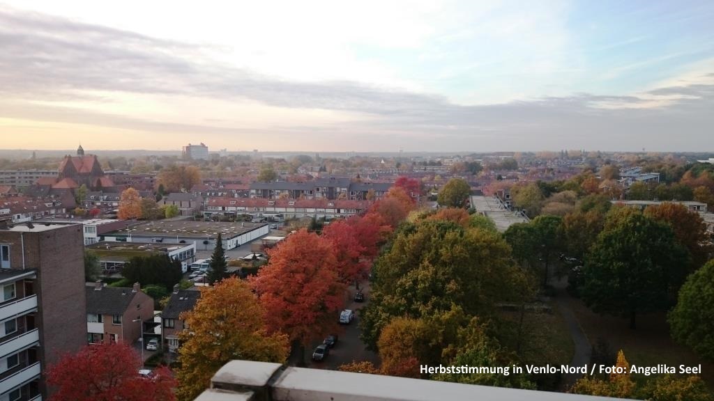 2016 10 31 herfstkleuren Venlo Noord